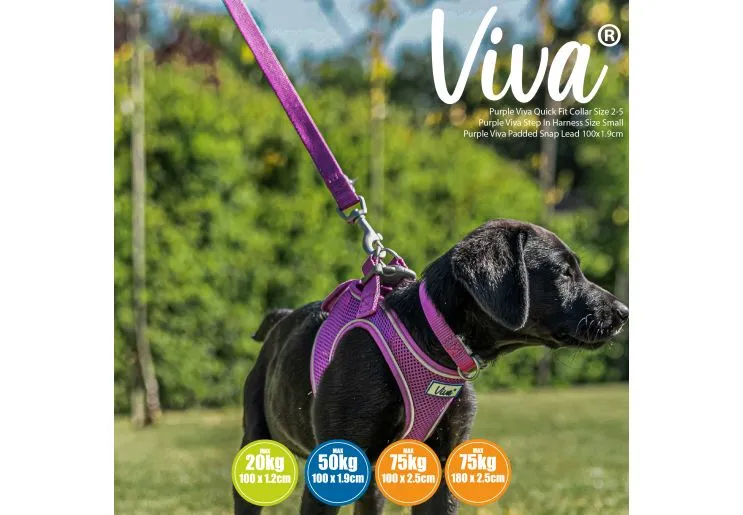 Ancol - Viva Nylon Padded Snap Lead - Purple - 100cm x 25mm (Max 75kg)